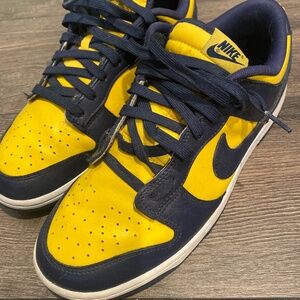 Nike Michigan dunk low